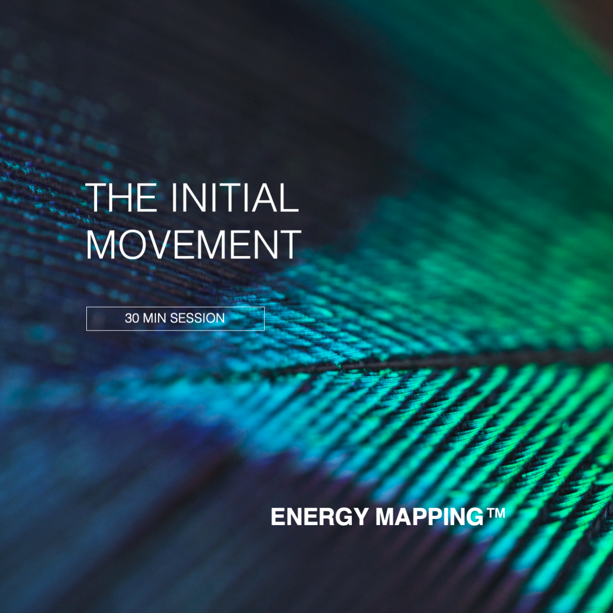 Blue-turquoise dynamic energy field with the text “The Initial Reset – 30 min session”. Abstract particles forming flowing waves, representing a structural energetic reset.