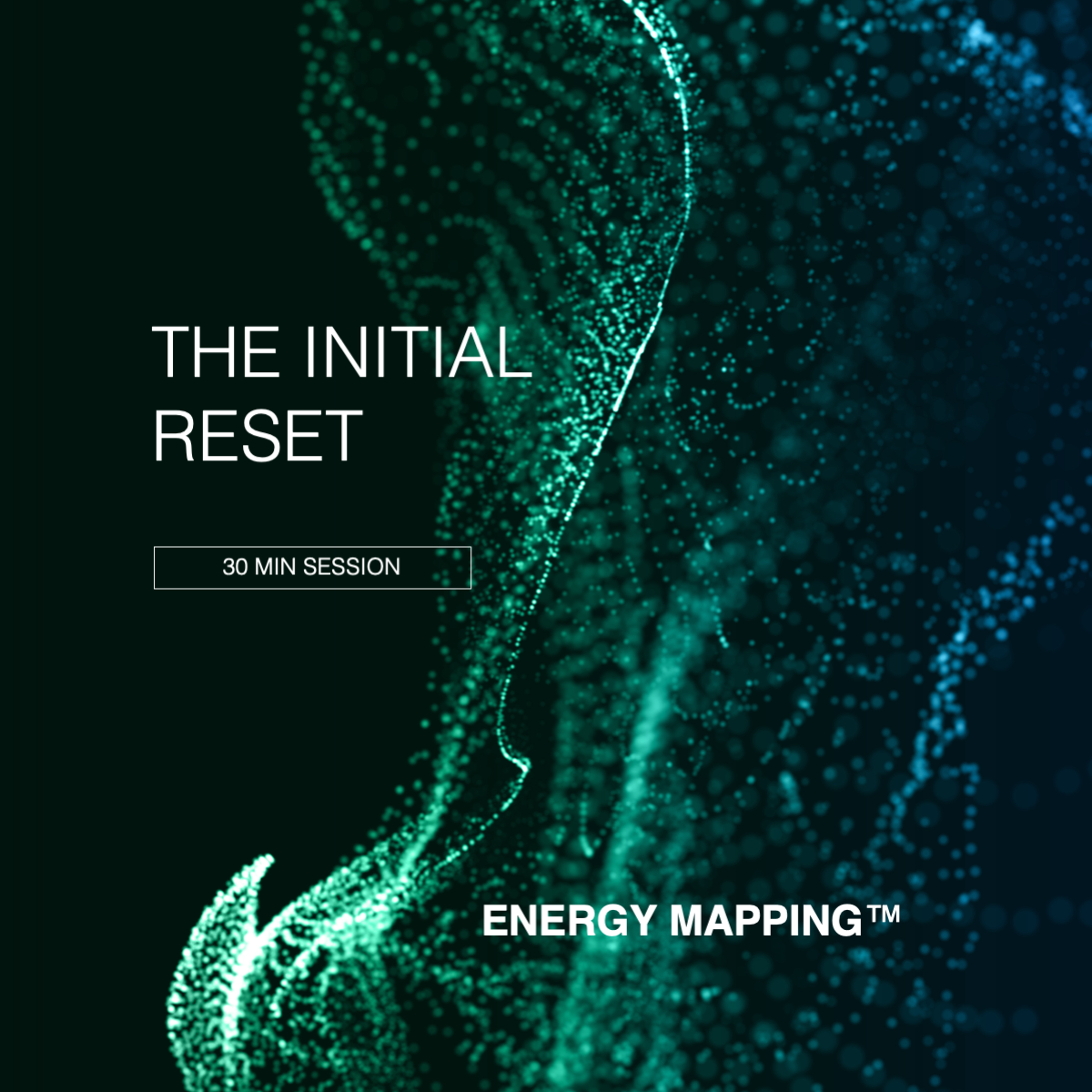 Energy Mapping™ Initial Reset (30 min)